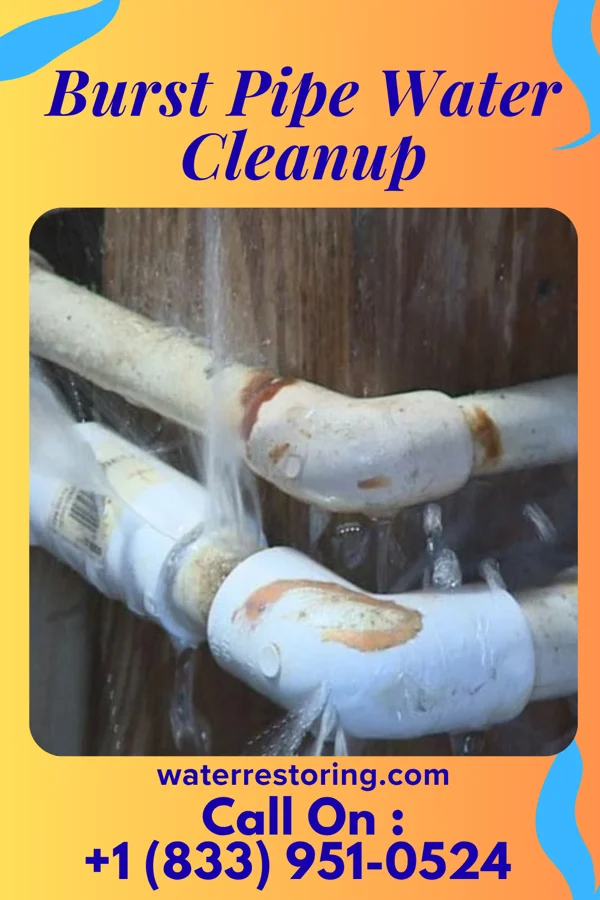 Burst Pipe Water Cleanup in Crandon, WI