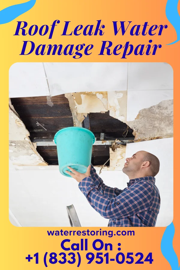 Roof Leak Water Damage Repair in Crandon, WI