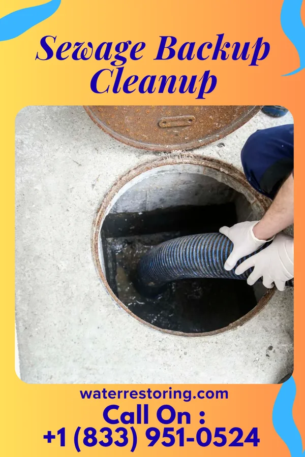 Sewage Backup Cleanup in Crandon, WI