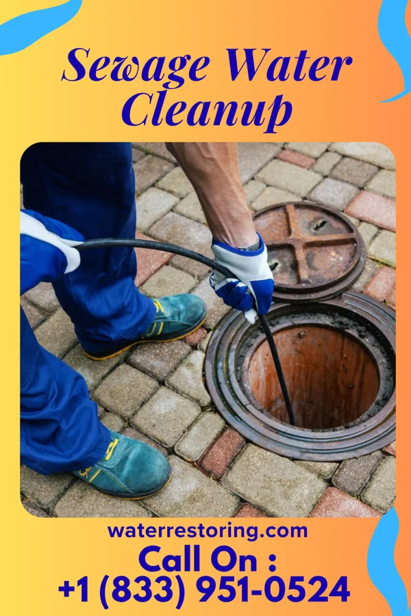 Sewage Water Cleanup in Crandon, WI